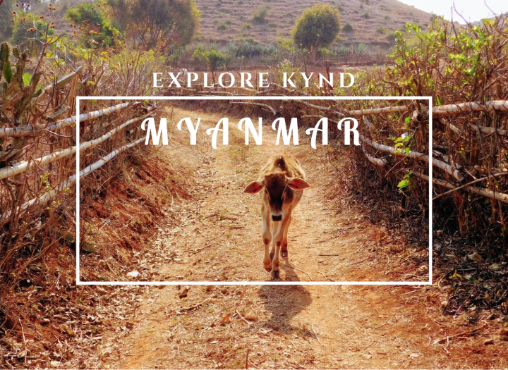 explore kynd myanmar